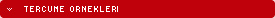 Tercüme Çeviri Örnekleri