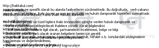 Websitesi Tercümesi tercüme örneği