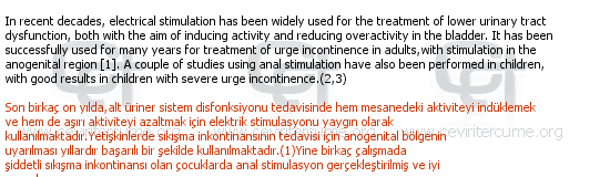 Ingilizce Turkce Medikal Tibbi Tercume Ornegi 113
