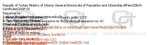 Doğum Belgesi tercüme örneği